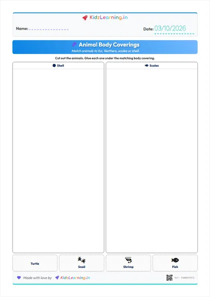 Animal Body Coverings worksheet preview