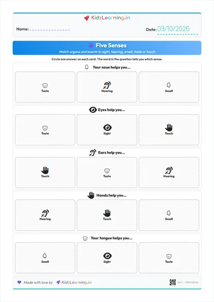 Five Senses worksheet preview
