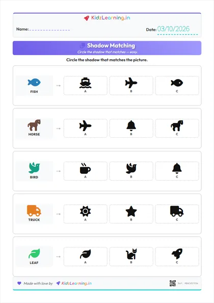Shadow Matching worksheet preview